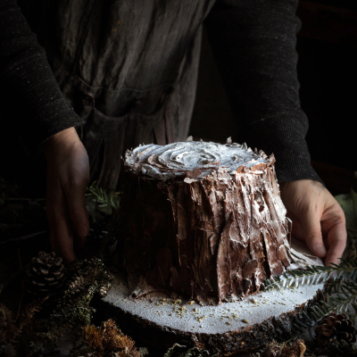 aimee-twiggers-tree-trunk-cake