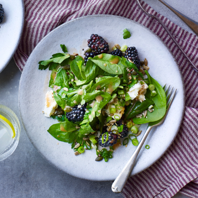 blackberry-goats-cheese-spinach-salad