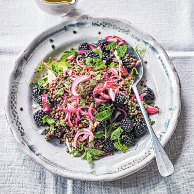 blackberry-fennel-lentil-mint-salad
