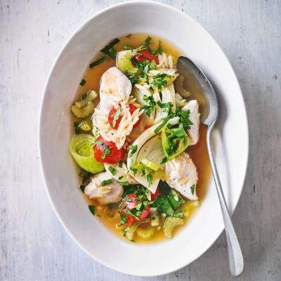 braised-chicken-fennel-with-orzo