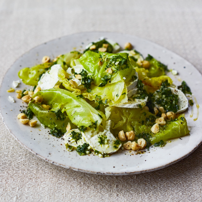 braised-cabbage-with-goats-cheese-hazelnuts-and-parsley-oil