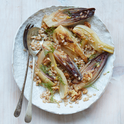 braised-fennel-and-chicory-with-spelt-lemon-and-toasted-walnuts