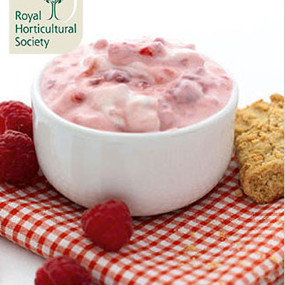 coconut-biscuits-with-a-raspberry-dip