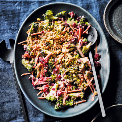 creamy-broccoli-cranberry-salad-with-crunchy-seeds