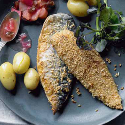 mackerel-in-oatmeal-with-fresh-rhubarb-chutney