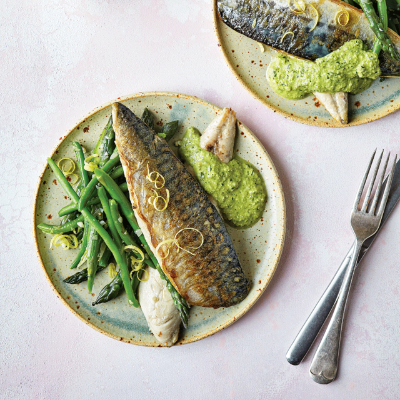 mackerel-with-green-beans-asparagus-hazelnut-sauce