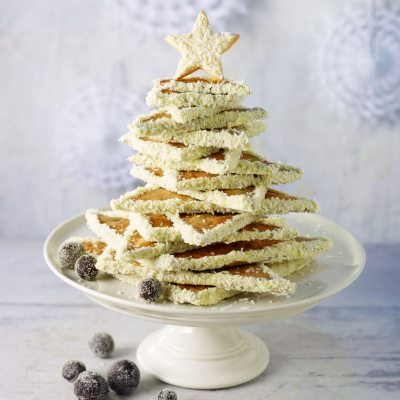paul-a-youngs-christmas-biscuit-tree
