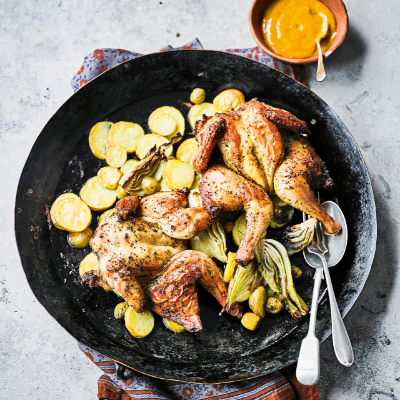 poussin-with-olives-and-sherry-spicy-orange-alioli