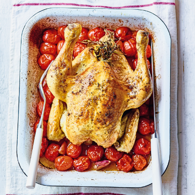 roast-chicken-on-a-bed-of-tomatoes