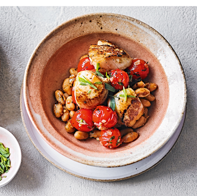 seared-scallops-with-cannellini-beans-cherry-tomatoes