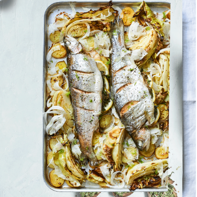 trout-with-pointed-cabbage-and-fennel